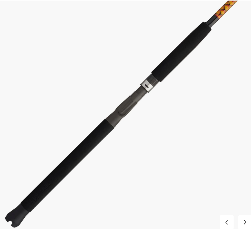 Ugly Stik Bigwater Conventional Rod